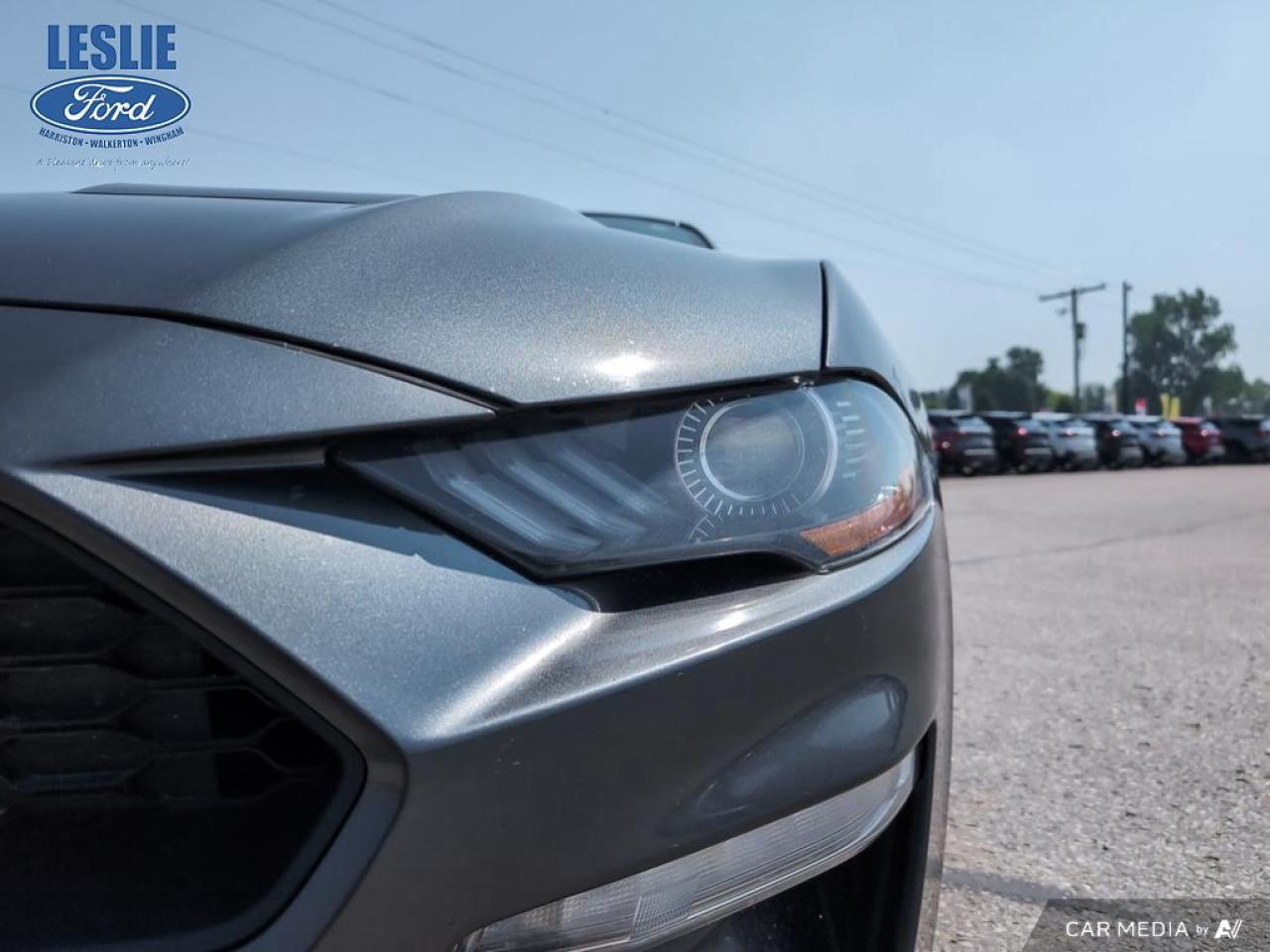 2019 Ford Mustang EcoBoost Fastback Photo