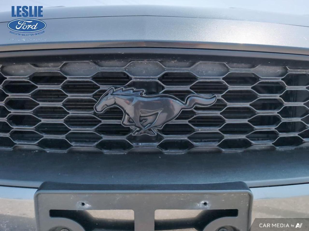 2019 Ford Mustang EcoBoost Fastback Photo