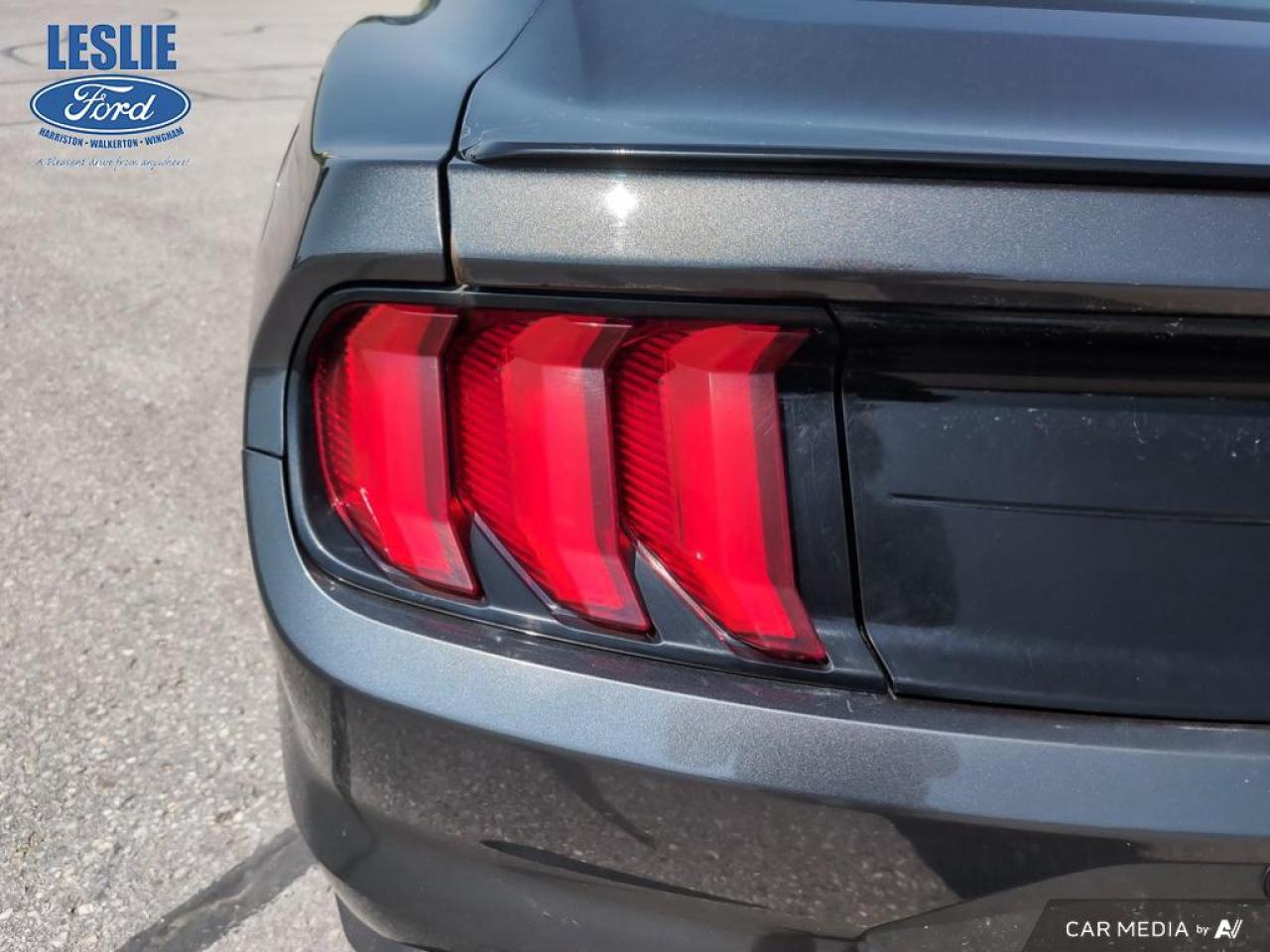 2019 Ford Mustang EcoBoost Fastback Photo