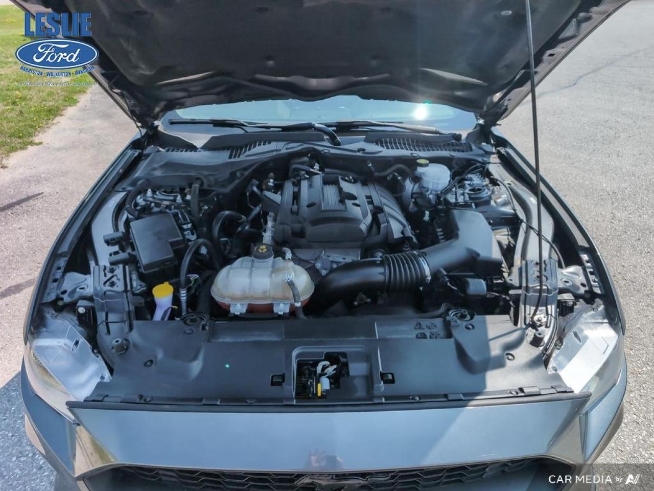 2019 Ford Mustang EcoBoost Fastback Photo