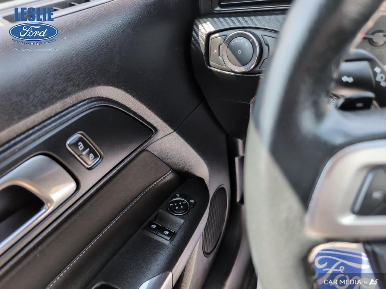 2019 Ford Mustang EcoBoost Fastback Photo