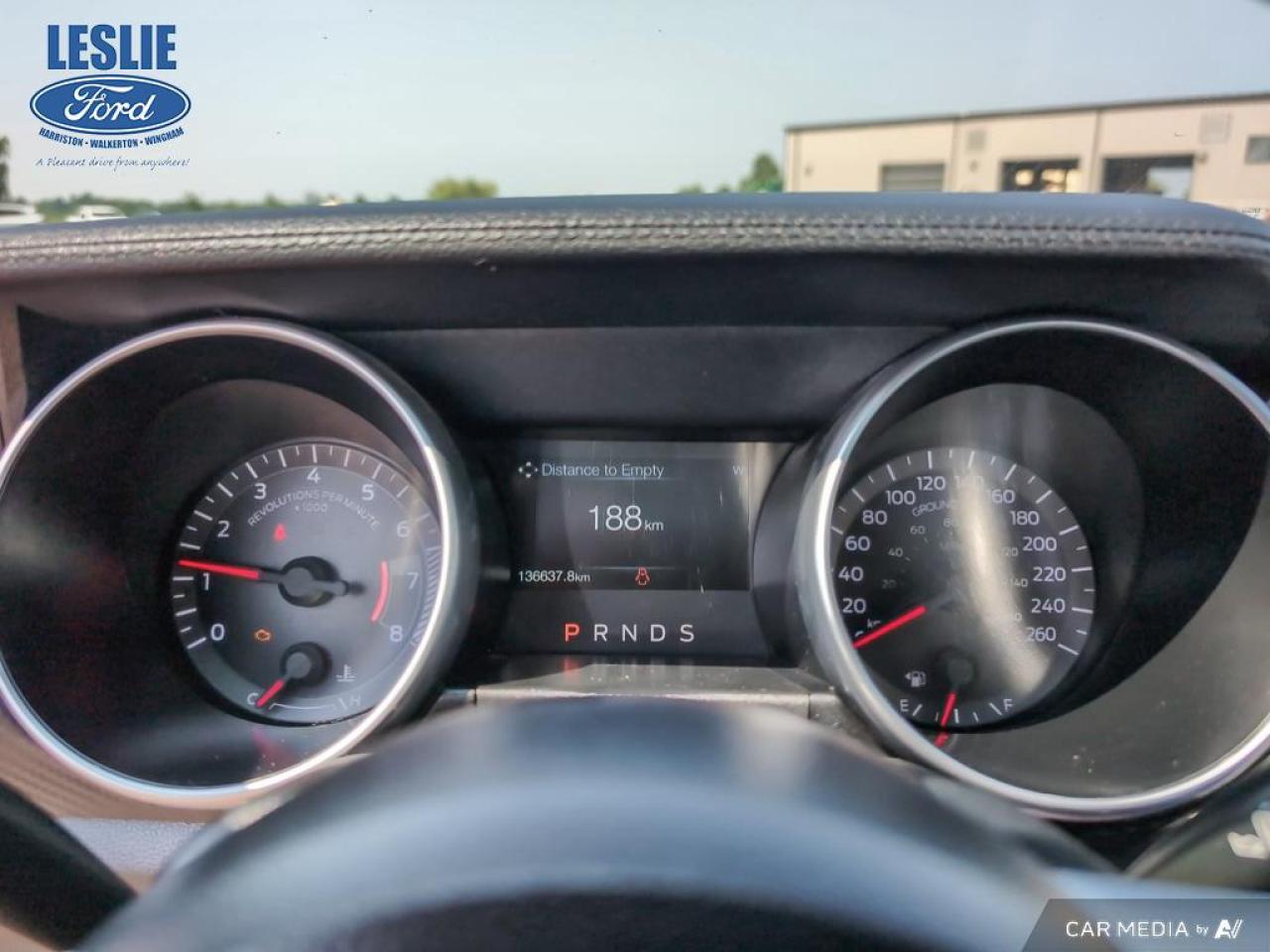 2019 Ford Mustang EcoBoost Fastback Photo