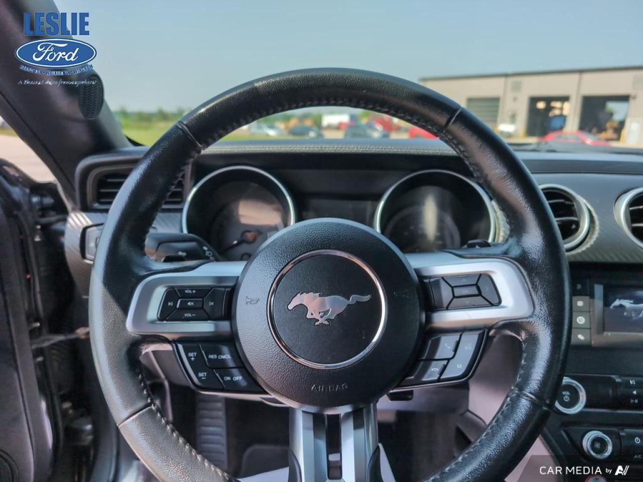 2019 Ford Mustang EcoBoost Fastback Photo