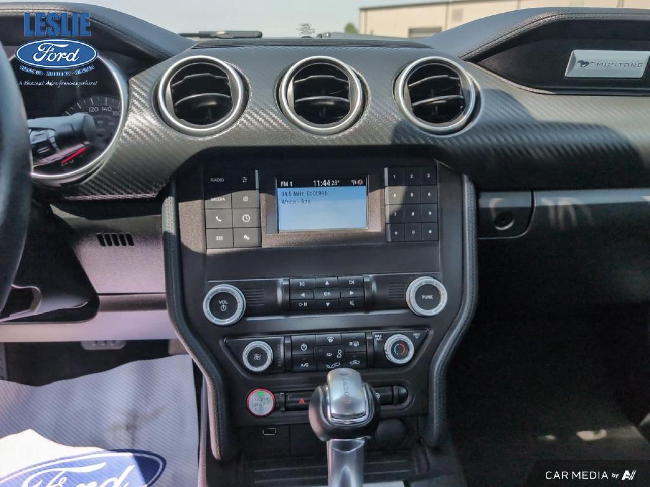 2019 Ford Mustang EcoBoost Fastback Photo