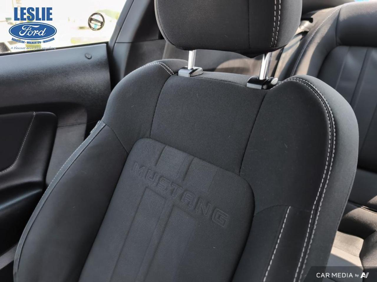 2019 Ford Mustang EcoBoost Fastback Photo