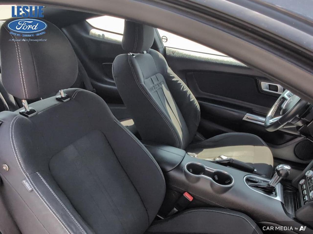 2019 Ford Mustang EcoBoost Fastback Photo