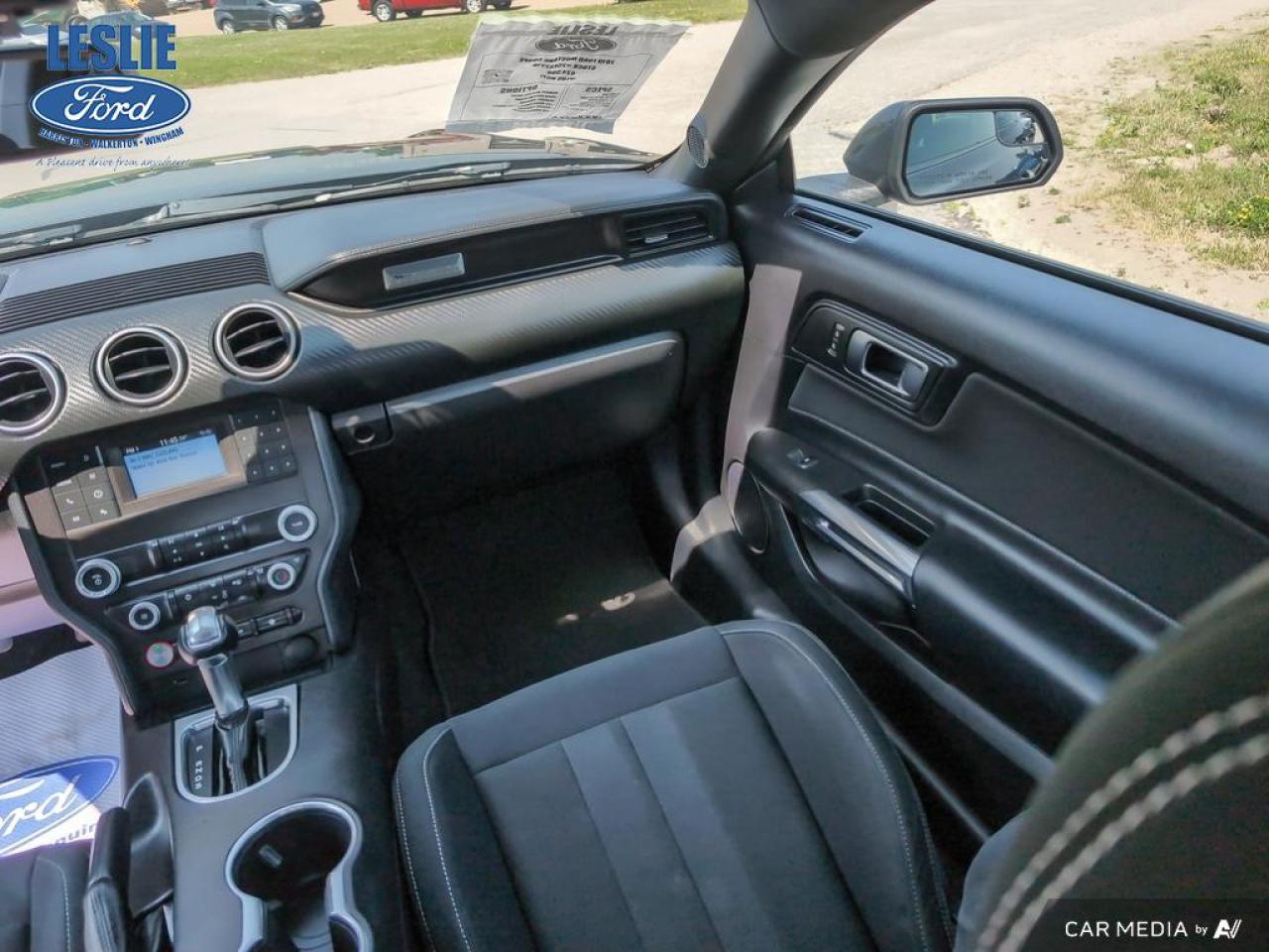 2019 Ford Mustang EcoBoost Fastback Photo