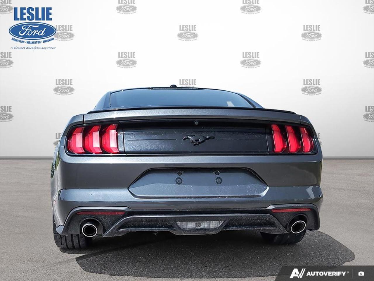 2019 Ford Mustang EcoBoost Fastback Photo4