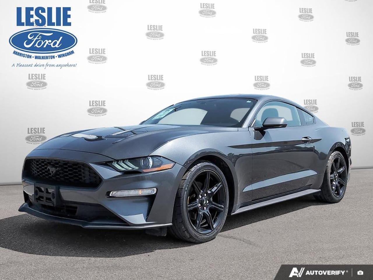2019 Ford Mustang EcoBoost Fastback Photo