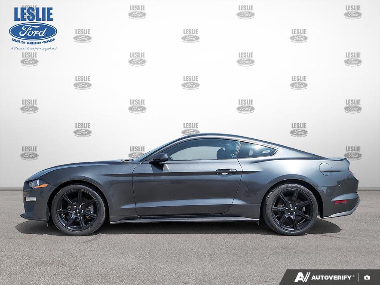 2019 Ford Mustang EcoBoost Fastback Photo2