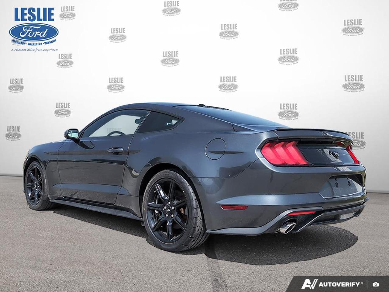 2019 Ford Mustang EcoBoost Fastback Photo