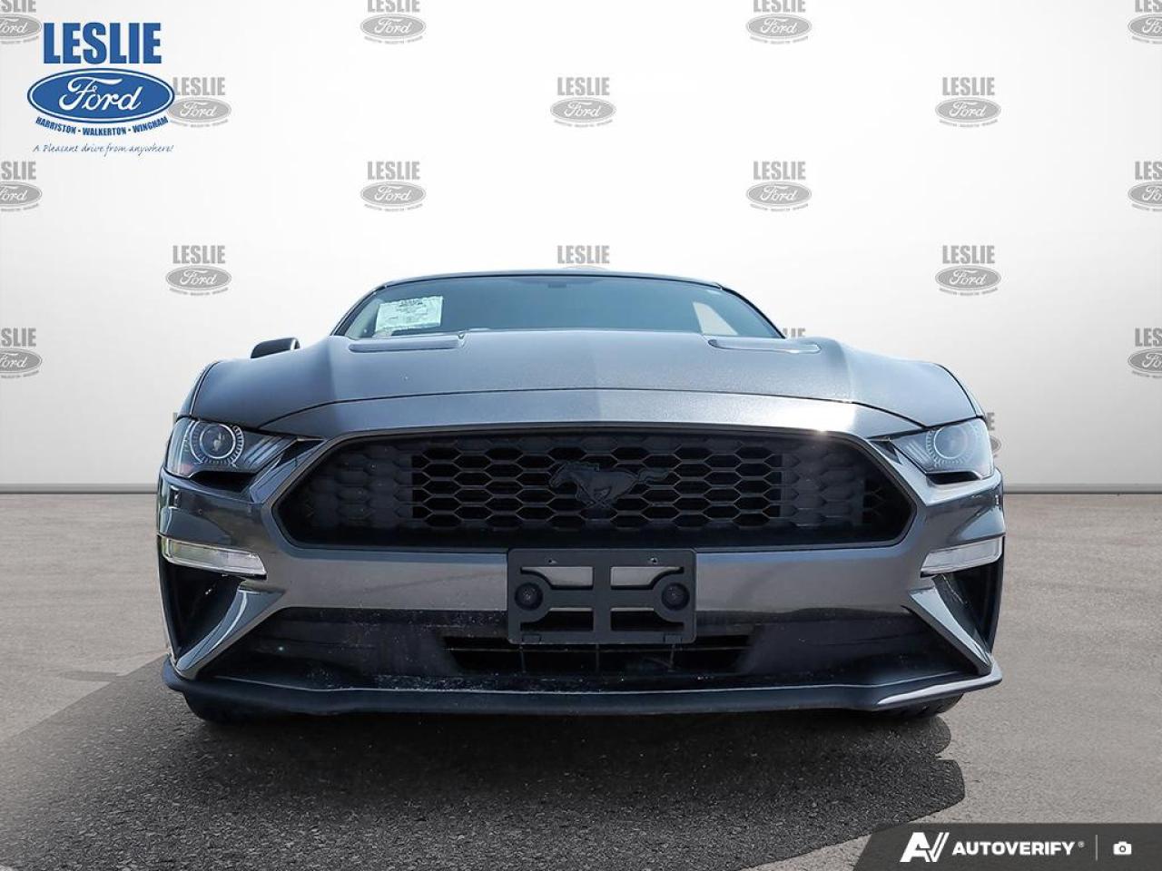 2019 Ford Mustang EcoBoost Fastback Photo1