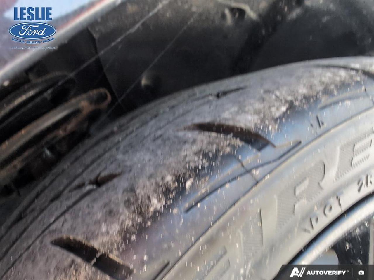 2019 Ford Mustang EcoBoost Fastback Photo