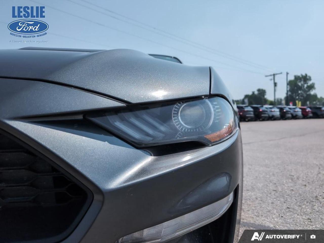 2019 Ford Mustang EcoBoost Fastback Photo