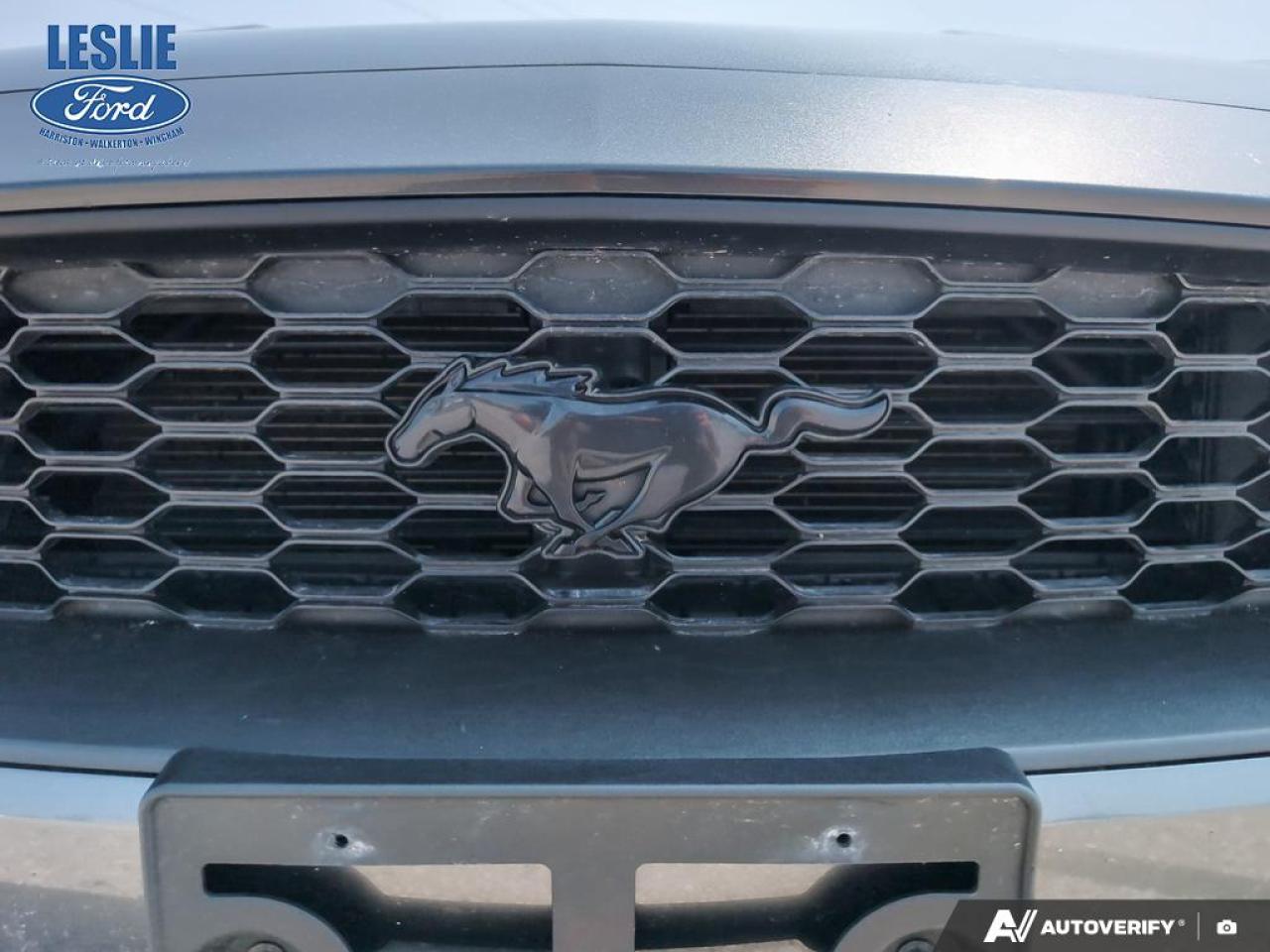 2019 Ford Mustang EcoBoost Fastback Photo