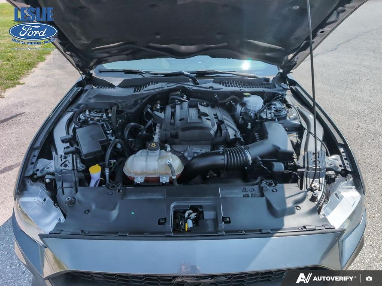 2019 Ford Mustang EcoBoost Fastback Photo