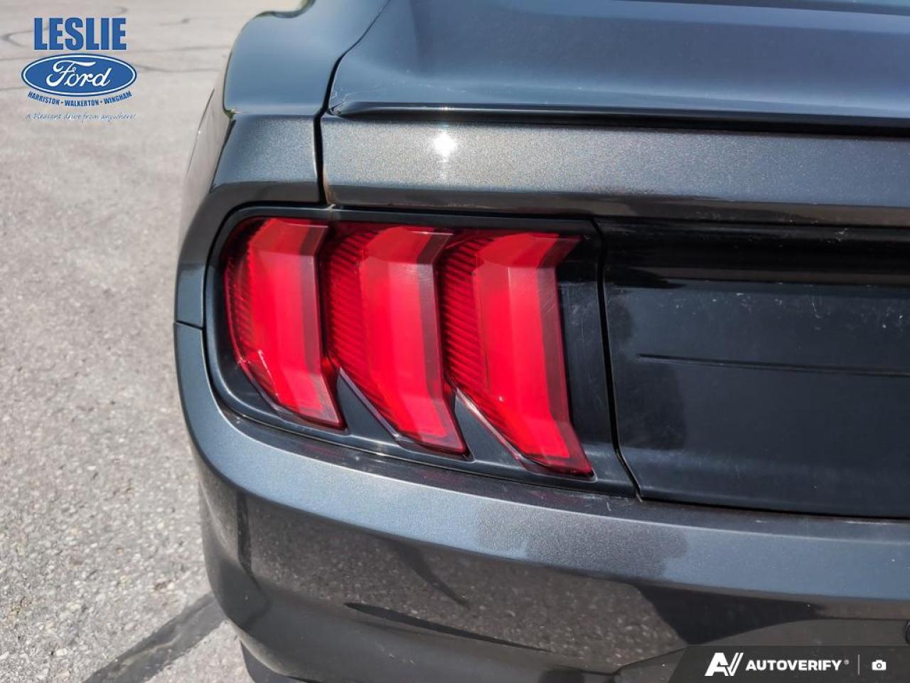 2019 Ford Mustang EcoBoost Fastback Photo