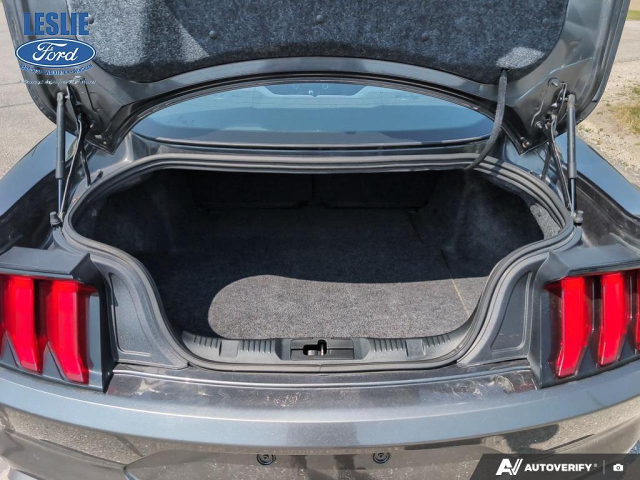 2019 Ford Mustang EcoBoost Fastback Photo