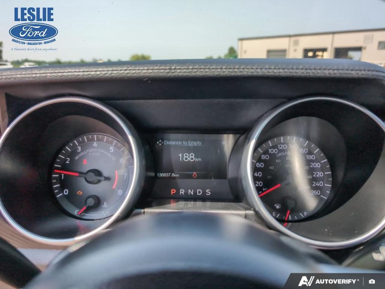 2019 Ford Mustang EcoBoost Fastback Photo