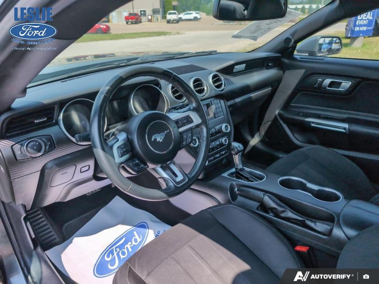 2019 Ford Mustang EcoBoost Fastback Photo