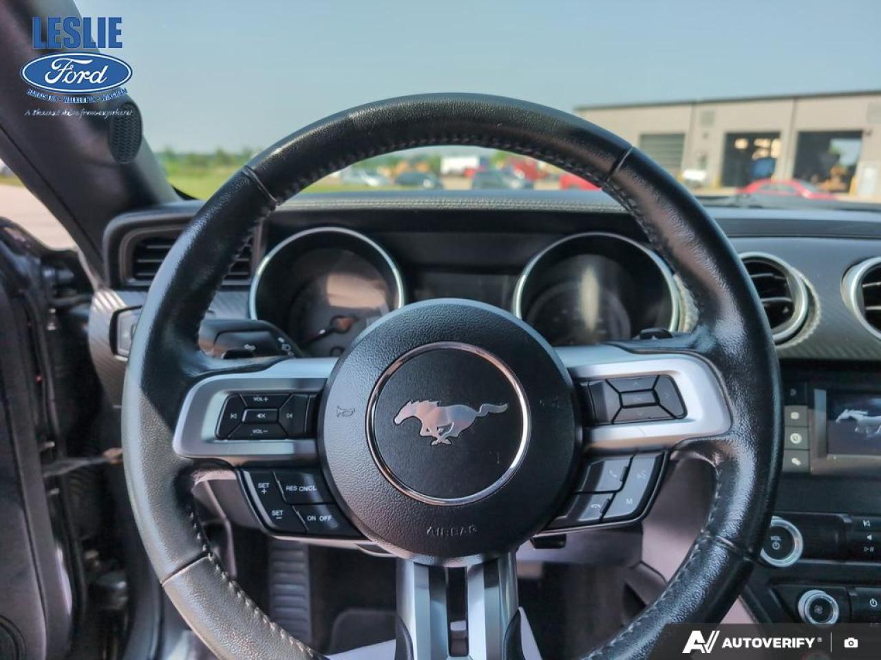 2019 Ford Mustang EcoBoost Fastback Photo