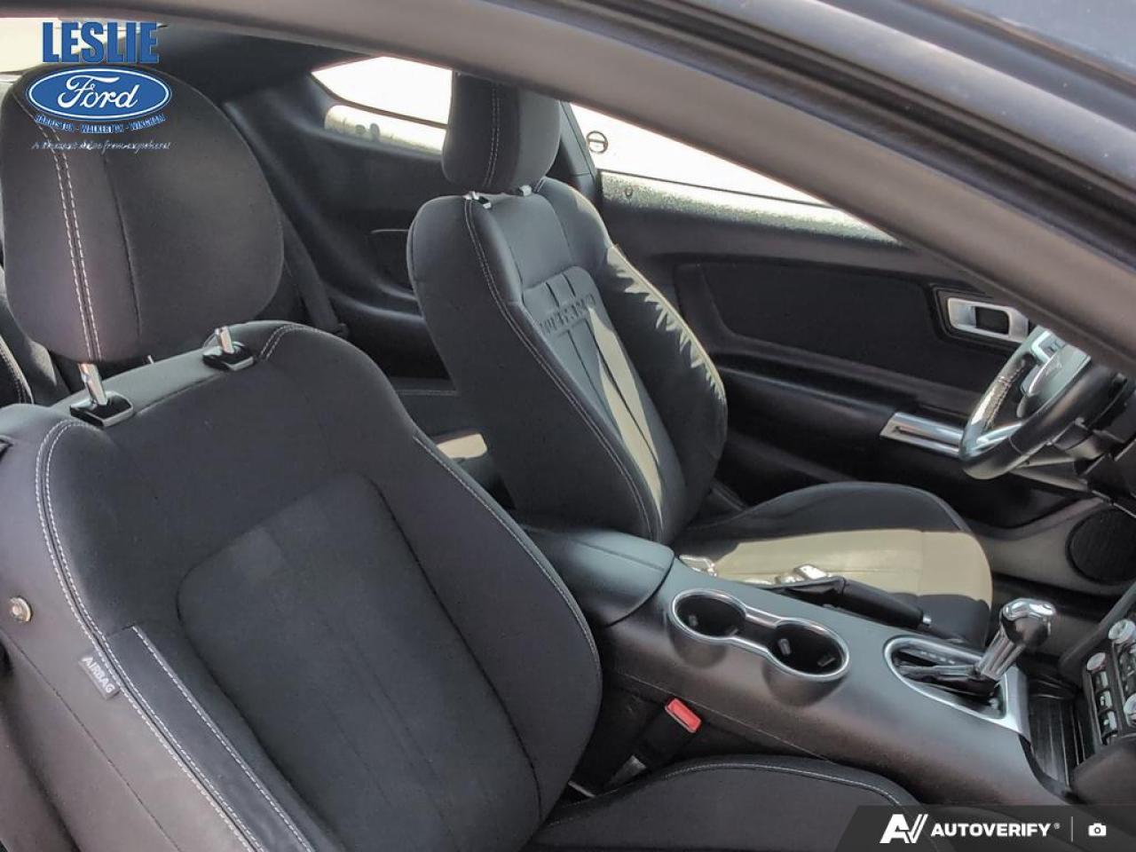 2019 Ford Mustang EcoBoost Fastback Photo