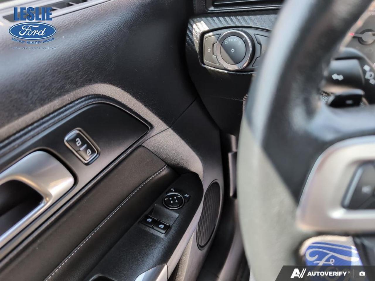 2019 Ford Mustang EcoBoost Fastback Photo