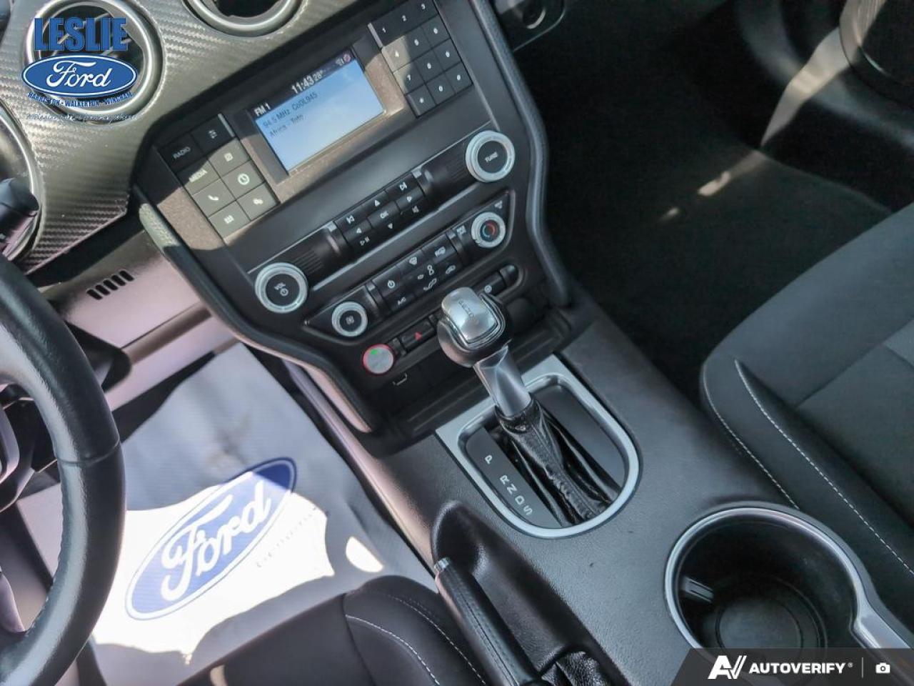 2019 Ford Mustang EcoBoost Fastback Photo