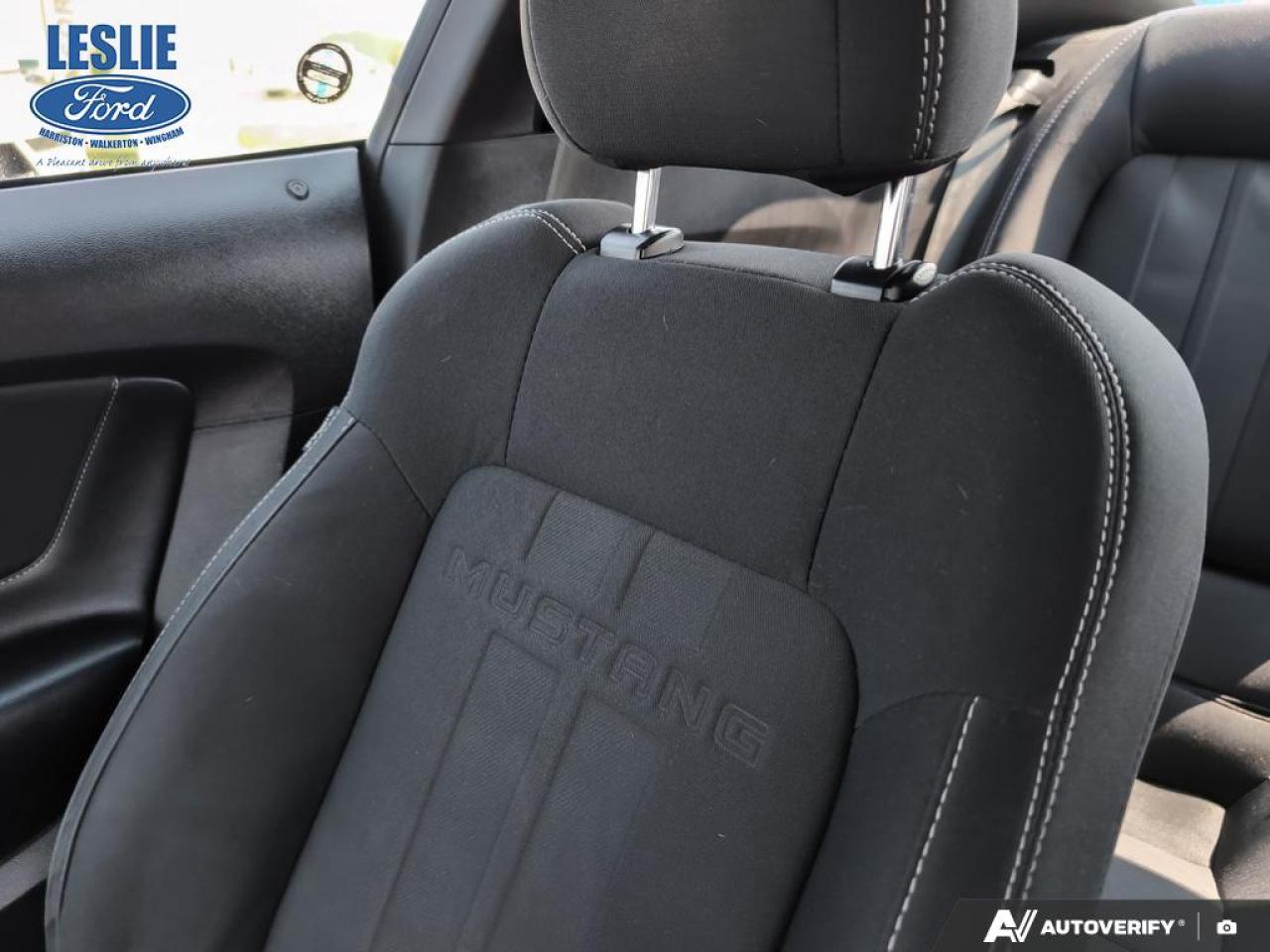 2019 Ford Mustang EcoBoost Fastback Photo