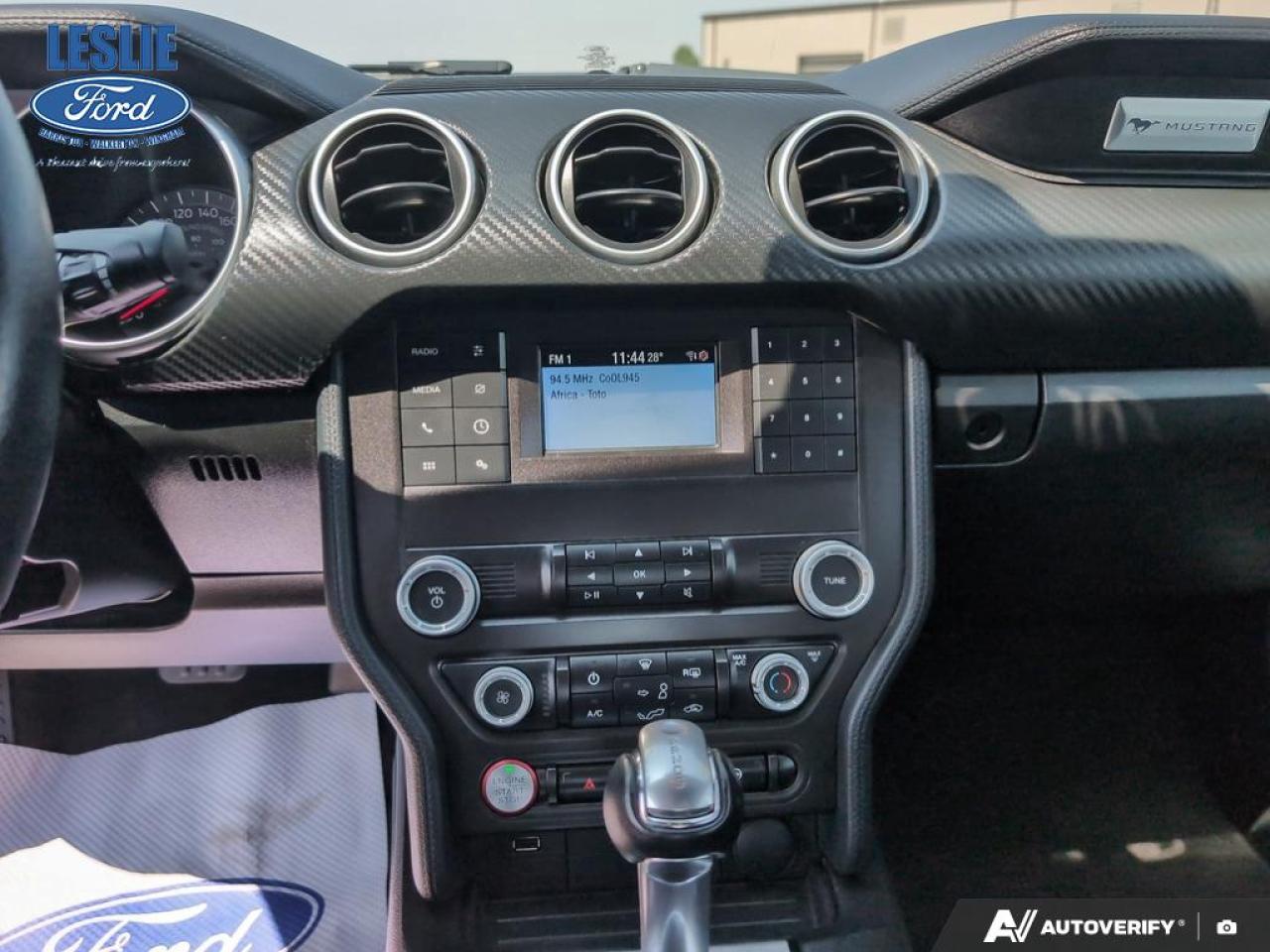 2019 Ford Mustang EcoBoost Fastback Photo