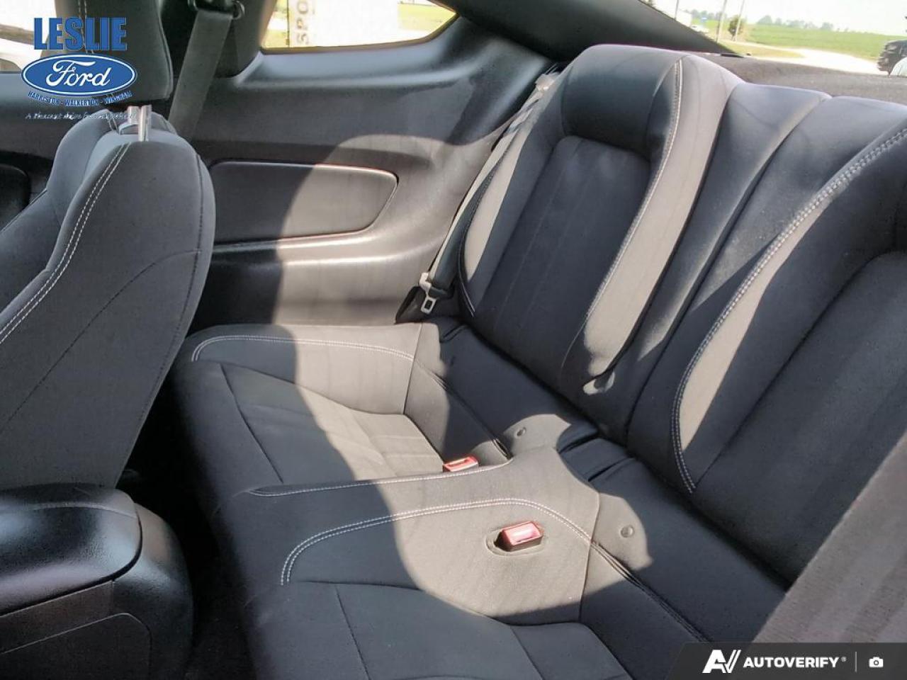 2019 Ford Mustang EcoBoost Fastback Photo