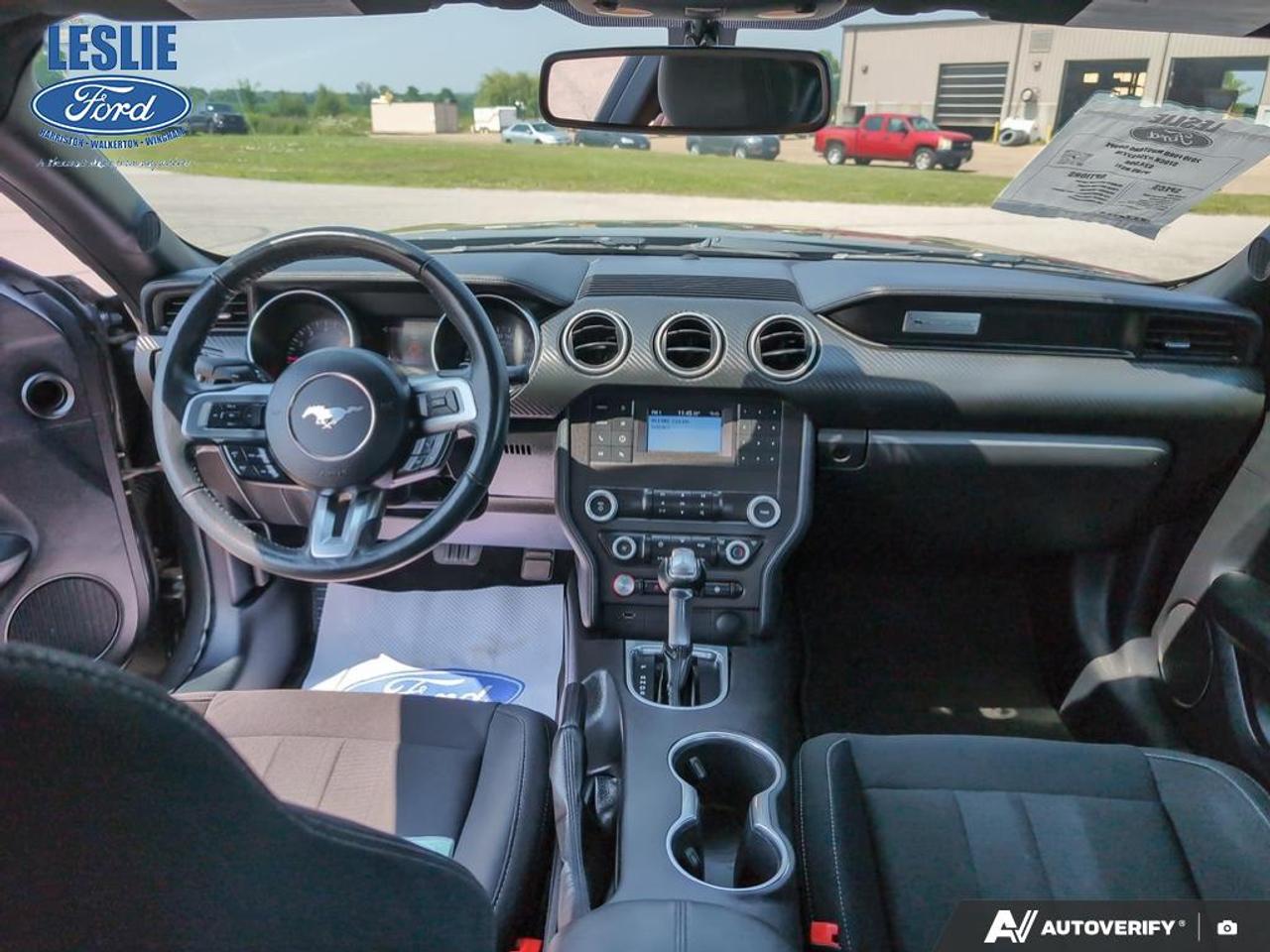 2019 Ford Mustang EcoBoost Fastback Photo