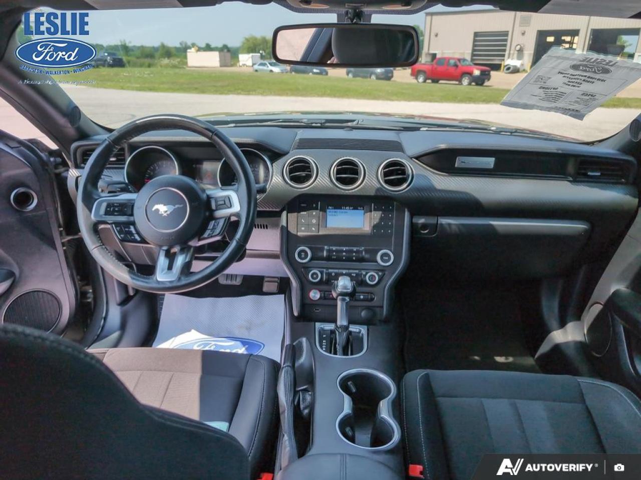 2019 Ford Mustang EcoBoost Fastback Photo