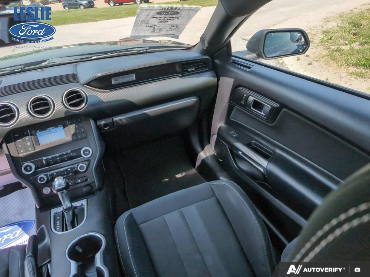 2019 Ford Mustang EcoBoost Fastback Photo