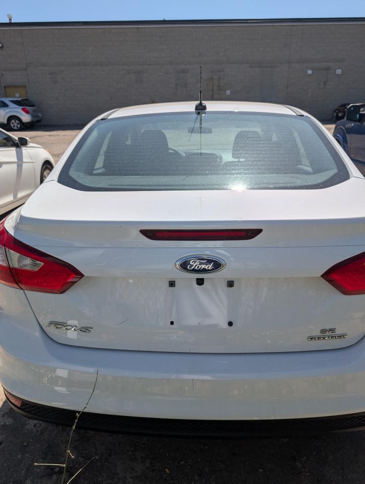 2014 Ford Focus SE Photo3