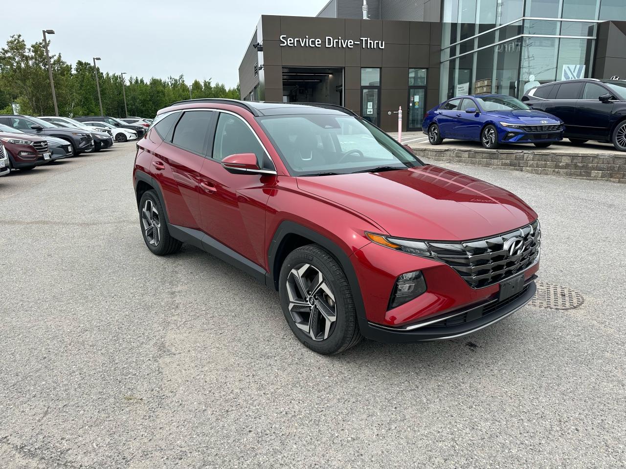 2022 Hyundai Tucson Hybrid Luxury Photo5
