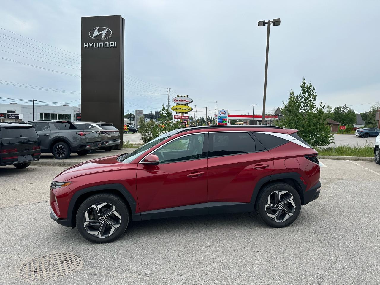 2022 Hyundai Tucson Hybrid Luxury Photo2