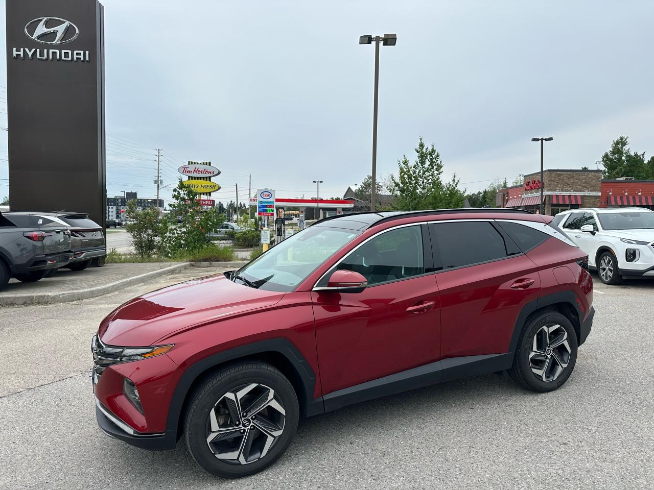 Used 2022 Hyundai Tucson Hybrid Luxury for sale in North Bay, ON