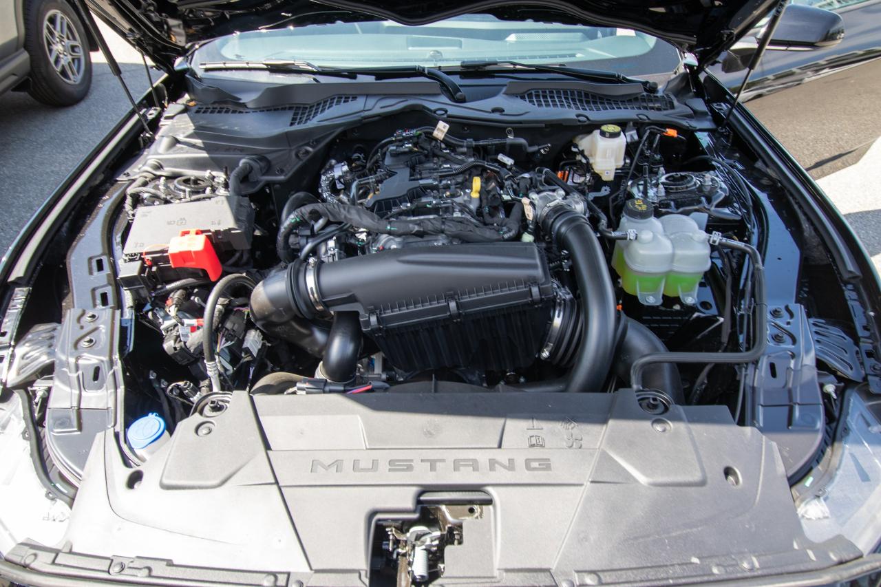2025 Ford Mustang EcoBoost Premium Fastback Photo5