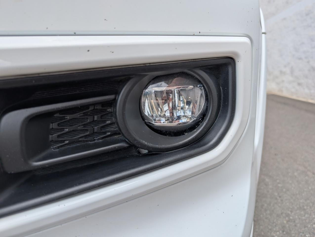 2022 Toyota 4Runner TRD Sport Photo