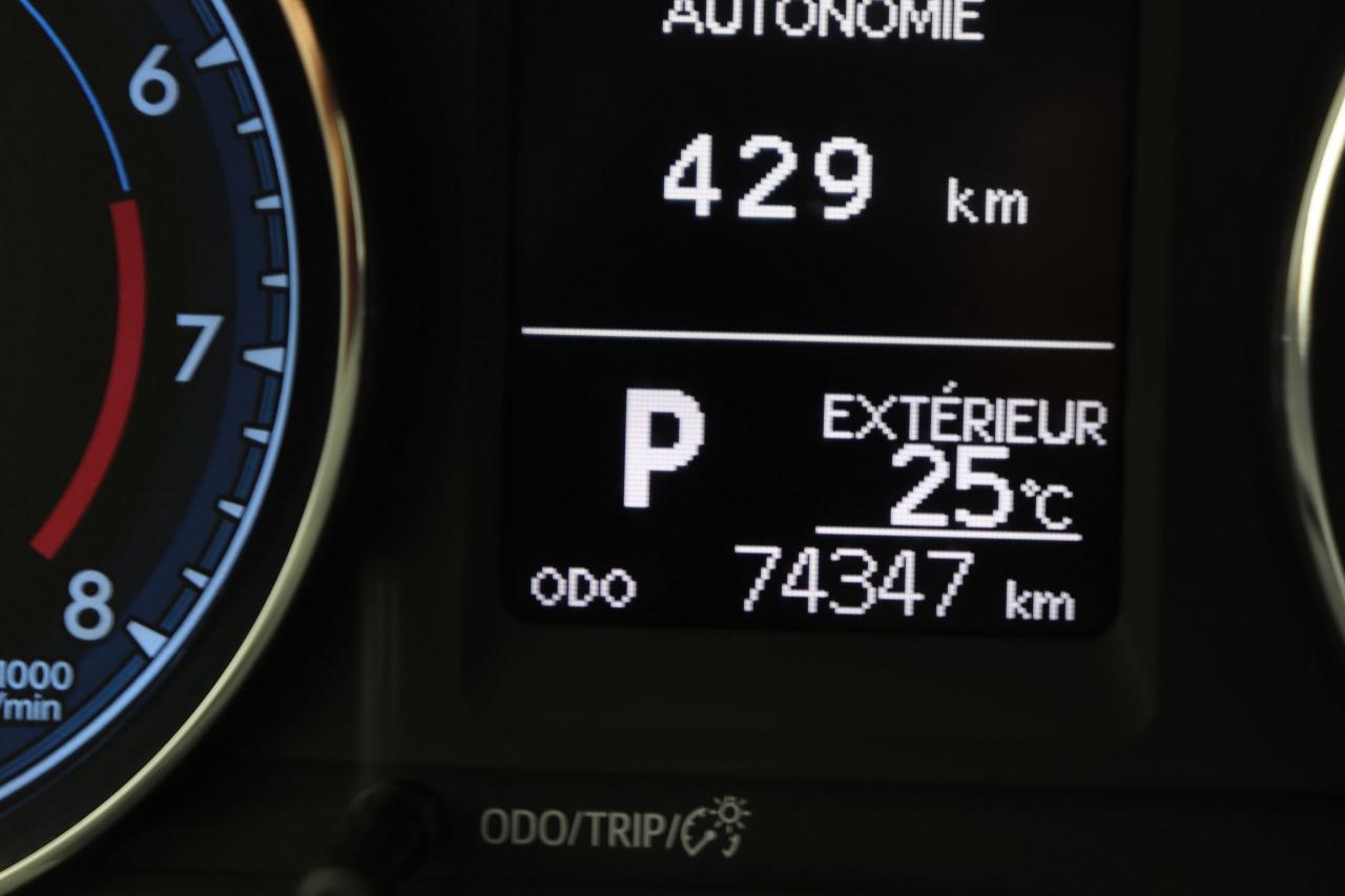12659334