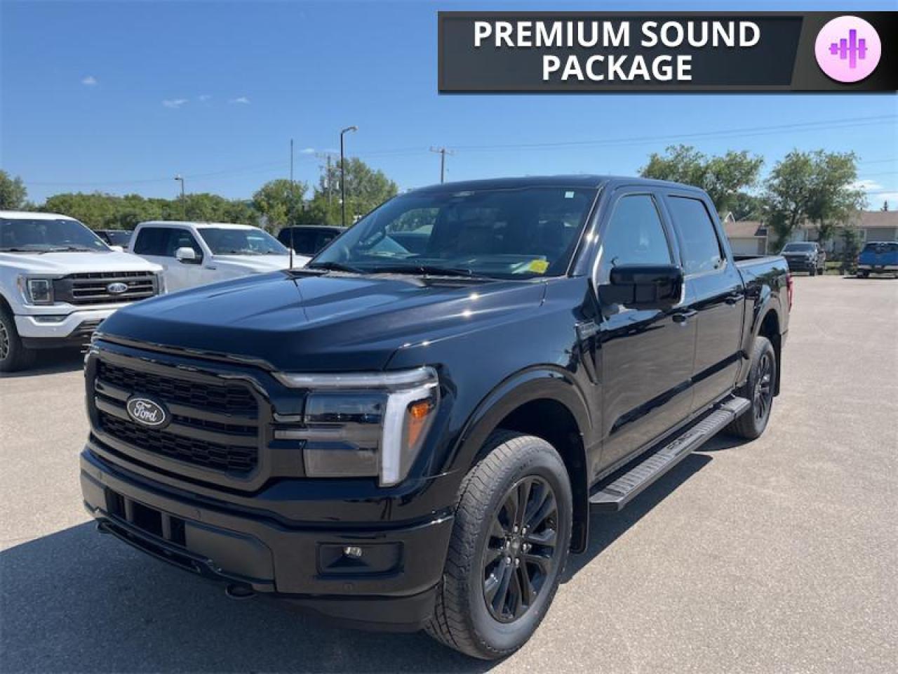 2025 Ford F-150 Lariat  - Premium Audio Photo4