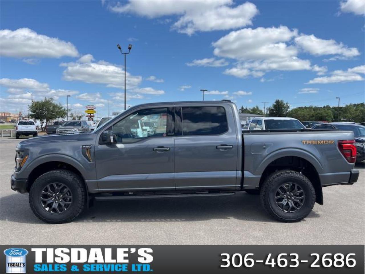 2025 Ford F-150 Tremor  - Leather Seats - Premium Audio Photo0