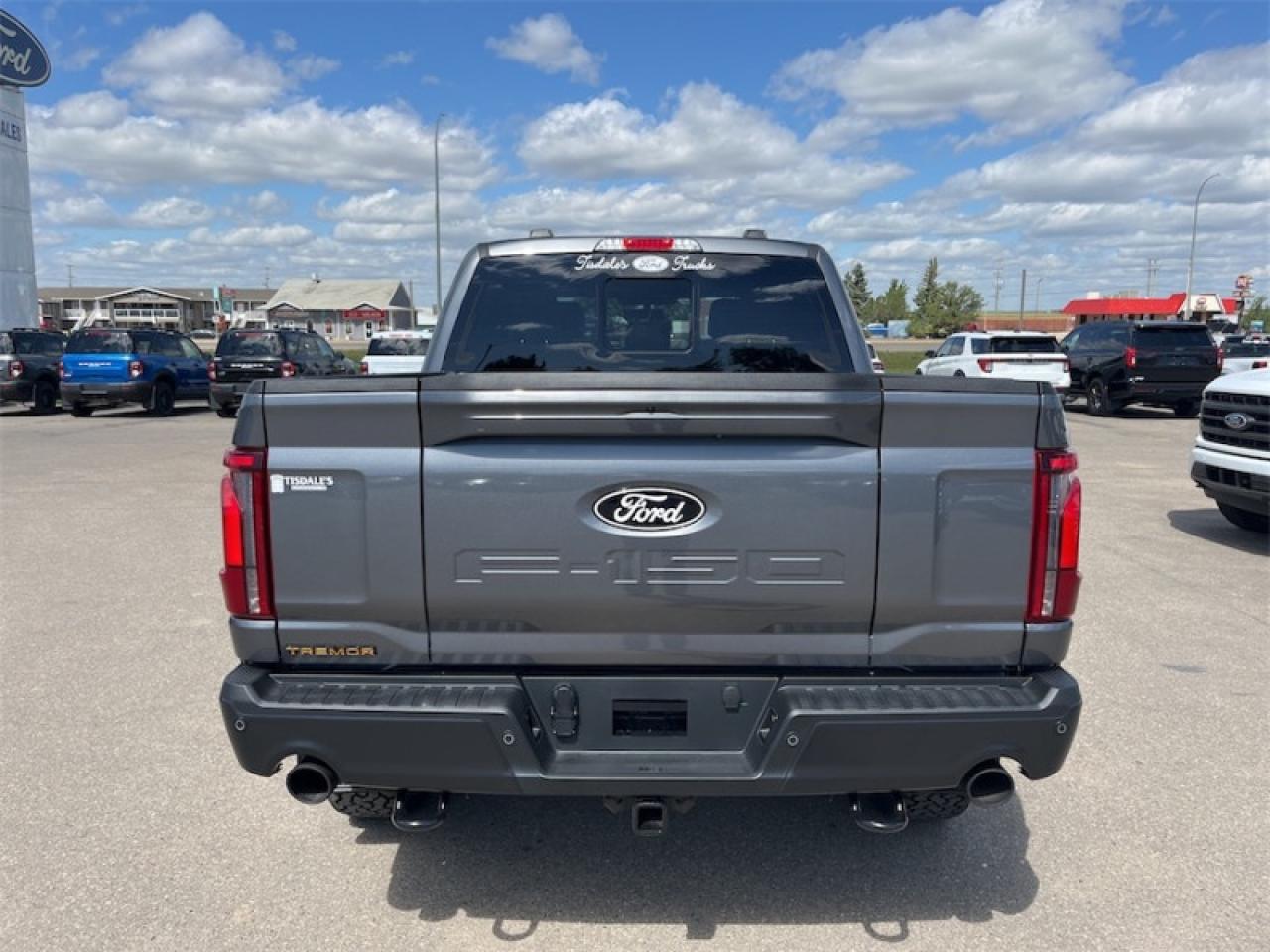 2025 Ford F-150 Tremor  - Leather Seats - Premium Audio Photo5