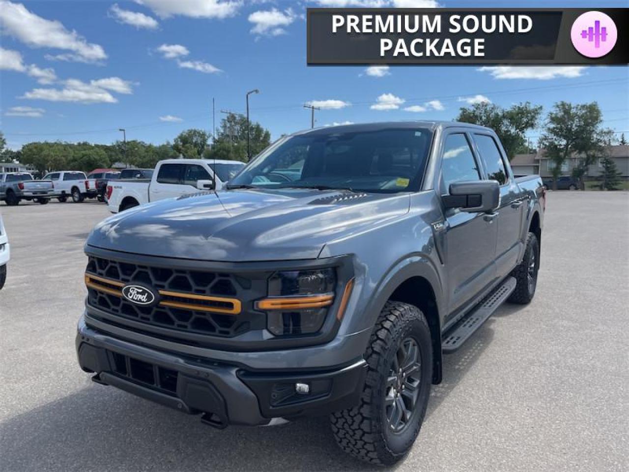 2025 Ford F-150 Tremor  - Leather Seats - Premium Audio Photo4