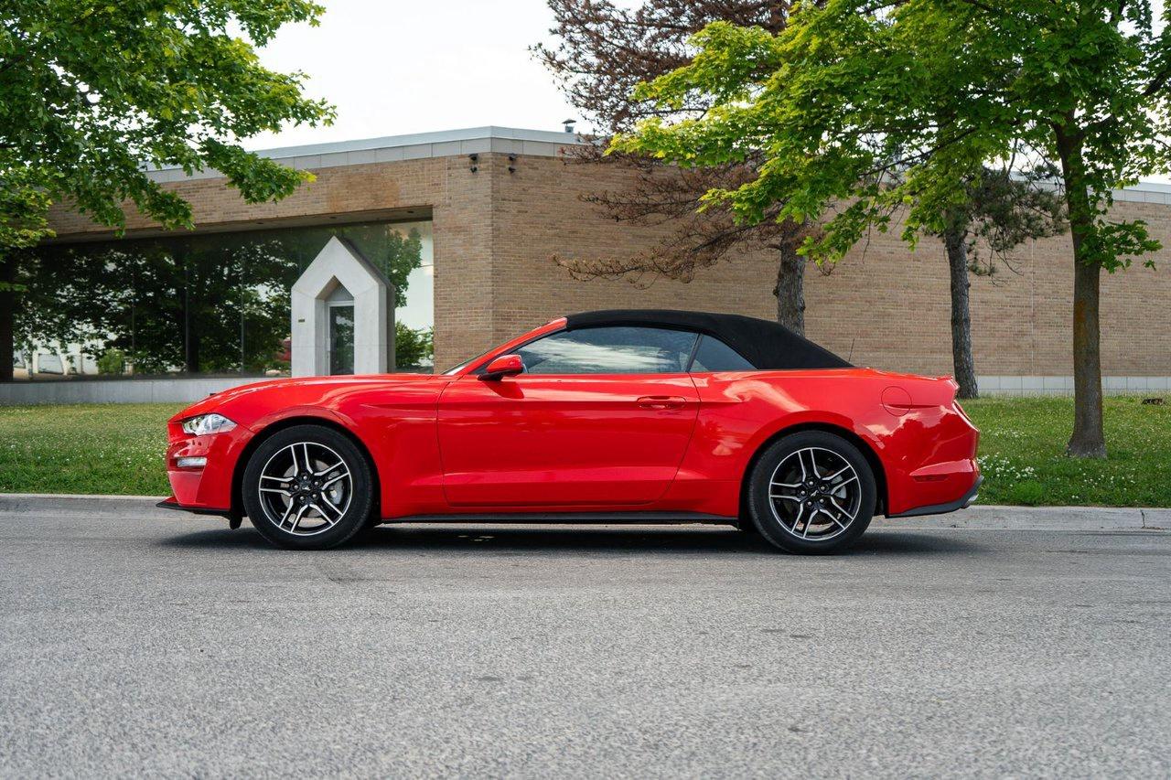 2023 Ford Mustang EcoBoost Premium Convertible Photo4