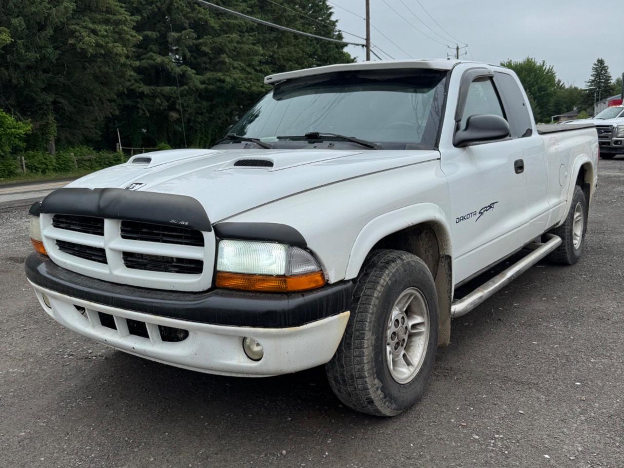 Used 2000 Dodge Dakota Club Cab for sale in Trois-Rivières, QC