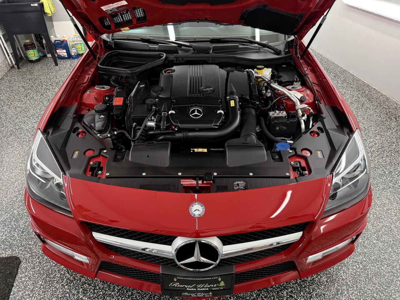2014 Mercedes-Benz SLK 2DR ROADSTER SLK 250 - Photo #15