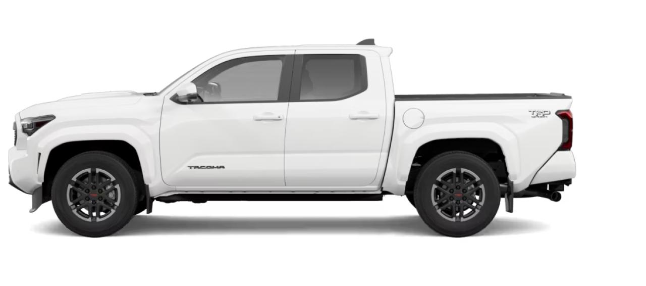 2025 Toyota Tacoma TRD SPORT MT TRD Sport+ Photo