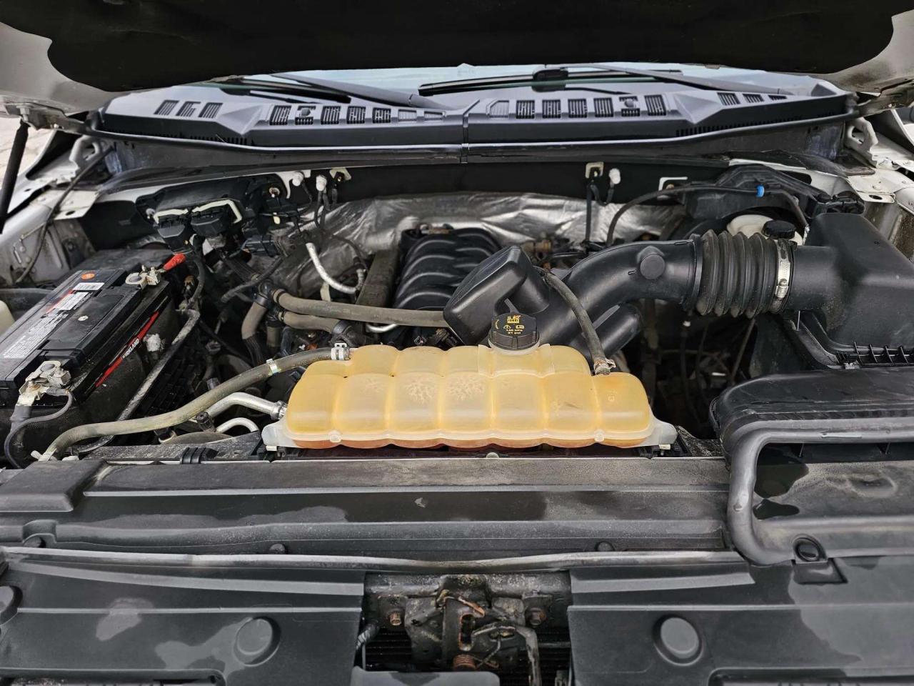 2015 Ford F-150 4WD SUPERCREW 157" XLT - Photo #19
